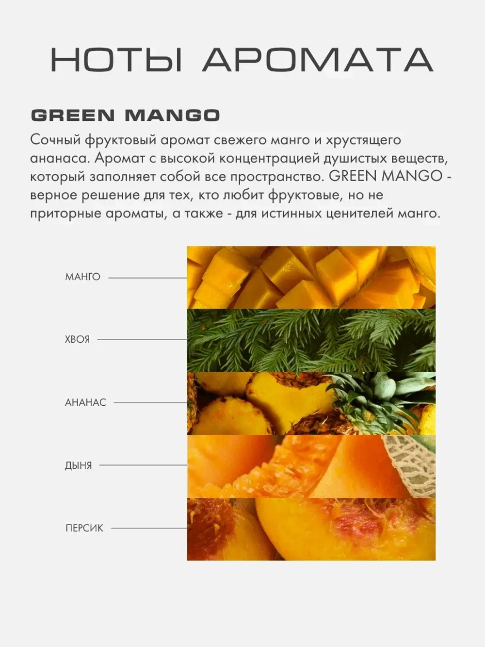 Green Mango XL