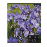 Тетрадь 48л., А5, клетка, Alingar "Blooming", скрепка, мелованный картон (стандарт), блок офсет, 4 дизайна в пленке т/у