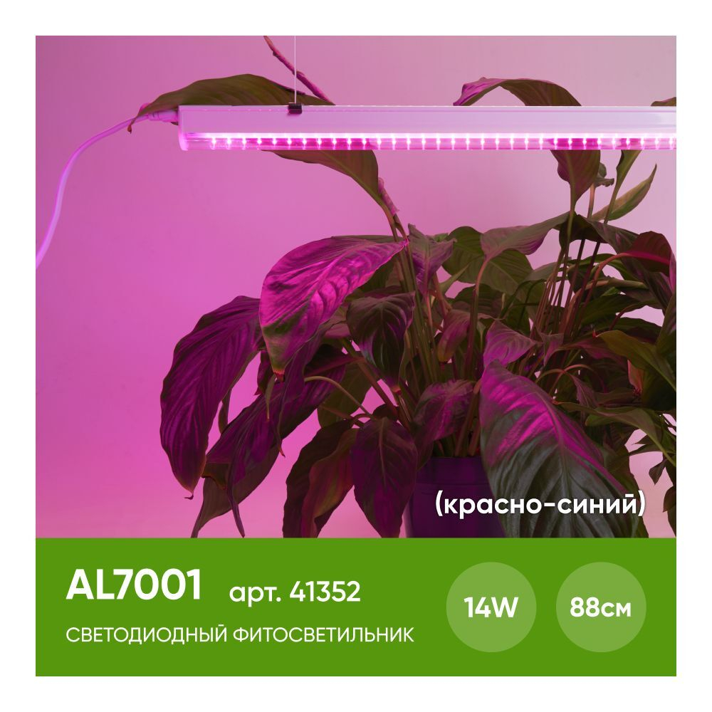 AL7001
