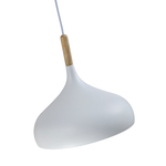 Светильник подвесной Moderli V11439-1P Eline