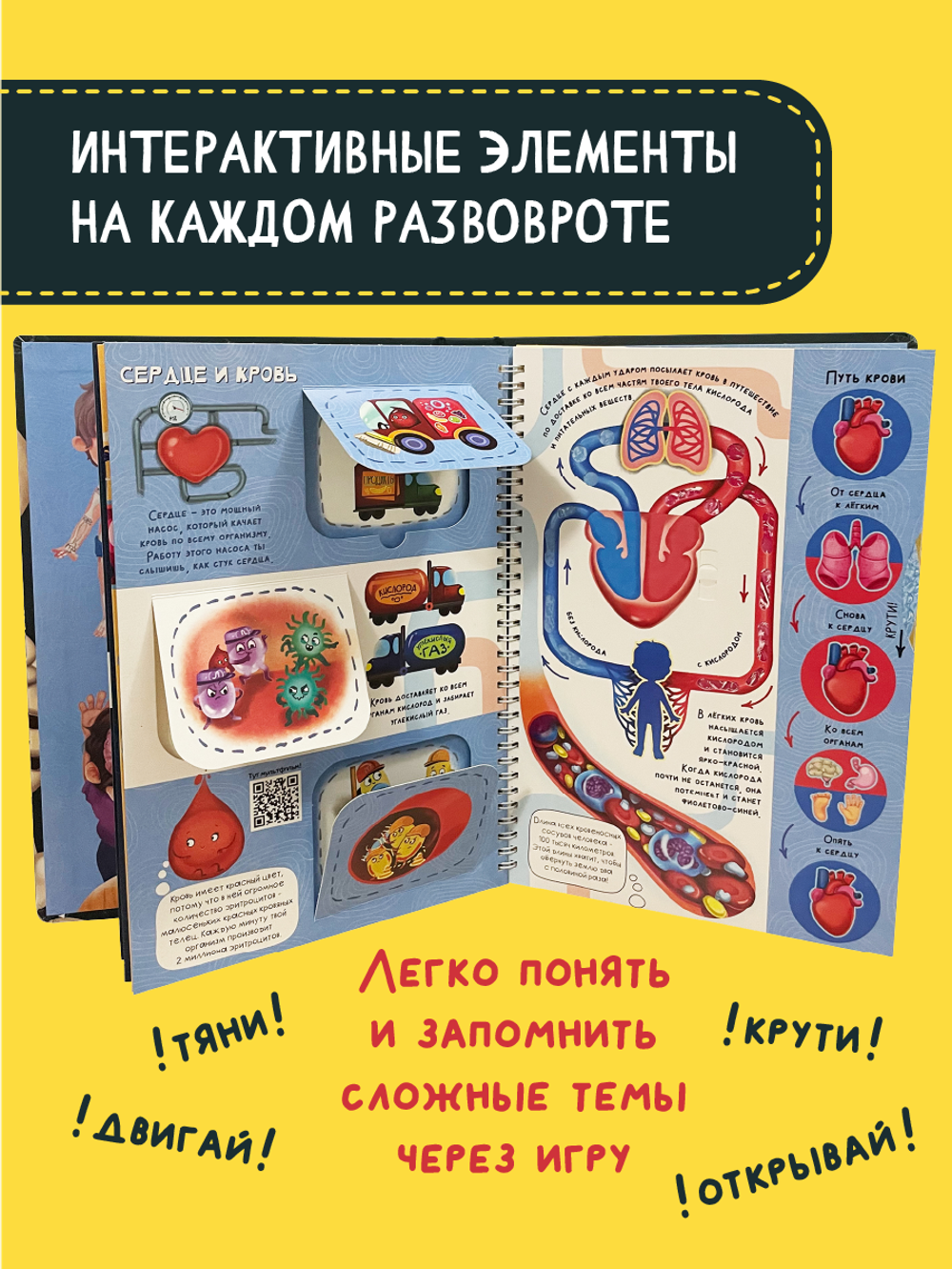 Интерактивная энциклопедия. Знакомься: твое тело