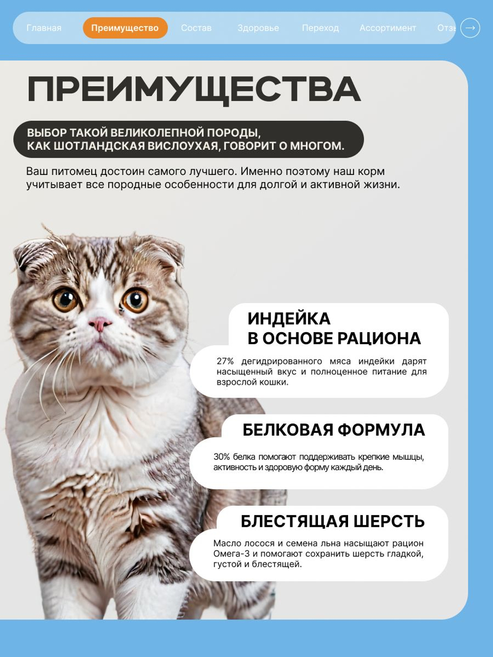Корм сухой для кошек породы Шотландская вислоухая, с индейкой, 400 гр, QUATTRO