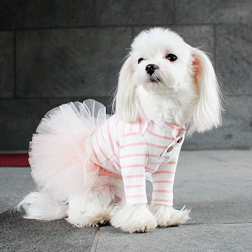 157 PA-DR Платье-пачка "Puppy Angel - TUTU Dress"