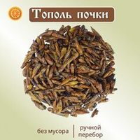 Тополь черный (почки)
