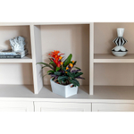 Контейнер для хранения boxxx, organic, 3,5 л, белый