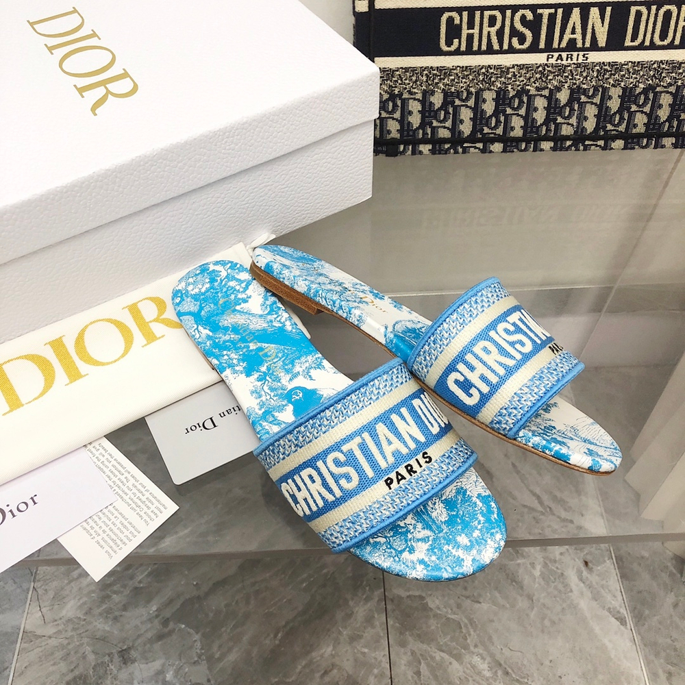 Christian Dior Dway Slide