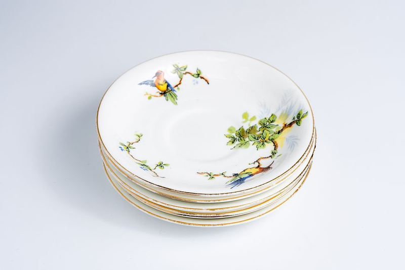 Блюдце с изображением экзотических птиц