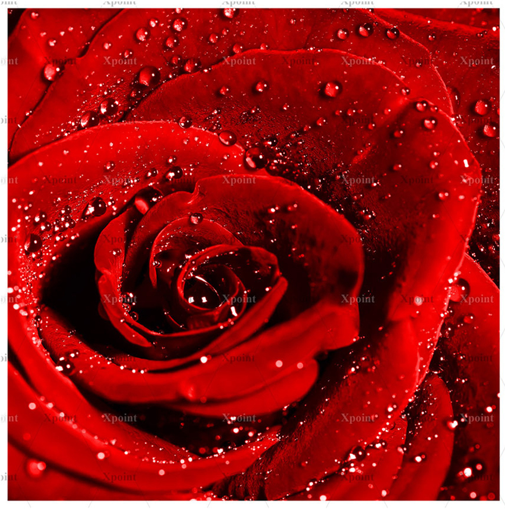 Микровелюр Xpoint (Икспоинт) 0043.01 Роза