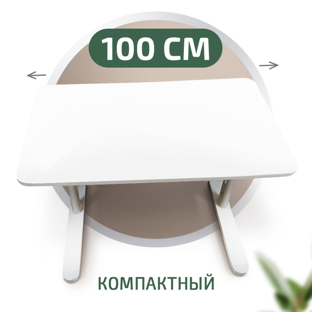 Растущая парта Ergokids Boston