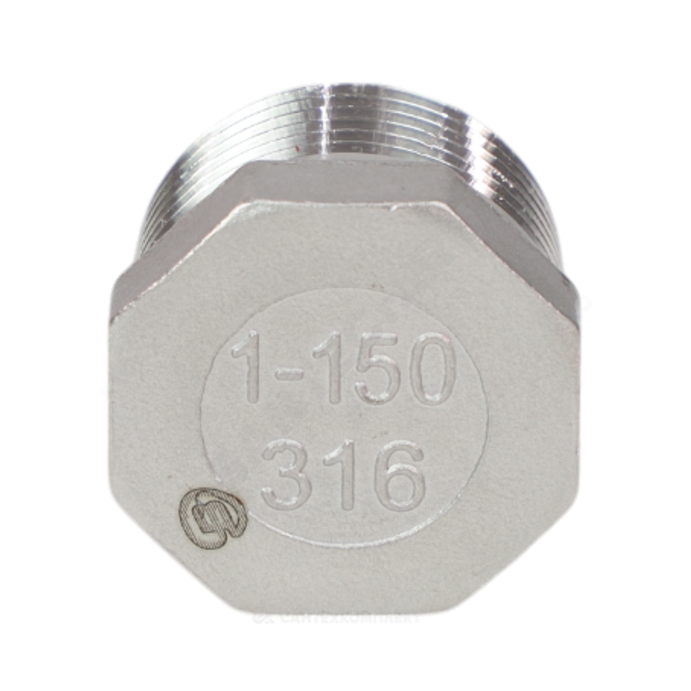 Заглушка сталь нерж Ду 20 (3/4") НР Benarmo