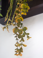 Панно с искусственными растениями