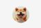 Aceline Akita Dog_0126522102512