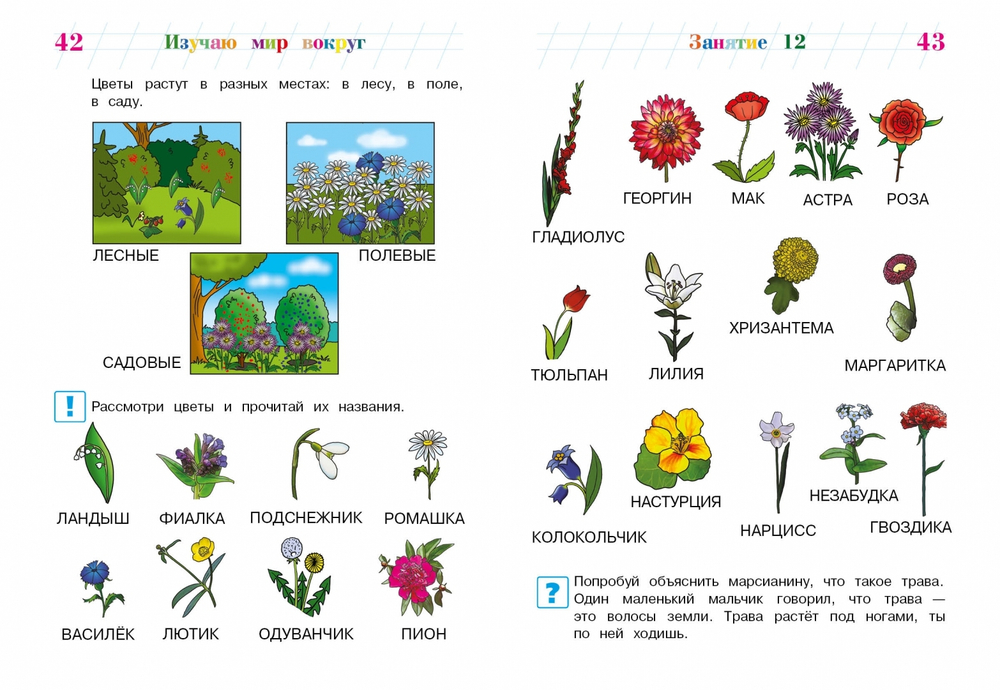 Изучаю мир вокруг: для детей 5-6 лет (новое оформление)