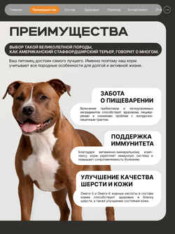 Корм сухой для взрослых собак породы Американский стаффордширский терьер, премиум полнорационный комплекс, с индейкой, 2,5 кг, QUATTRO