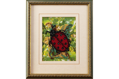 Божья коровка