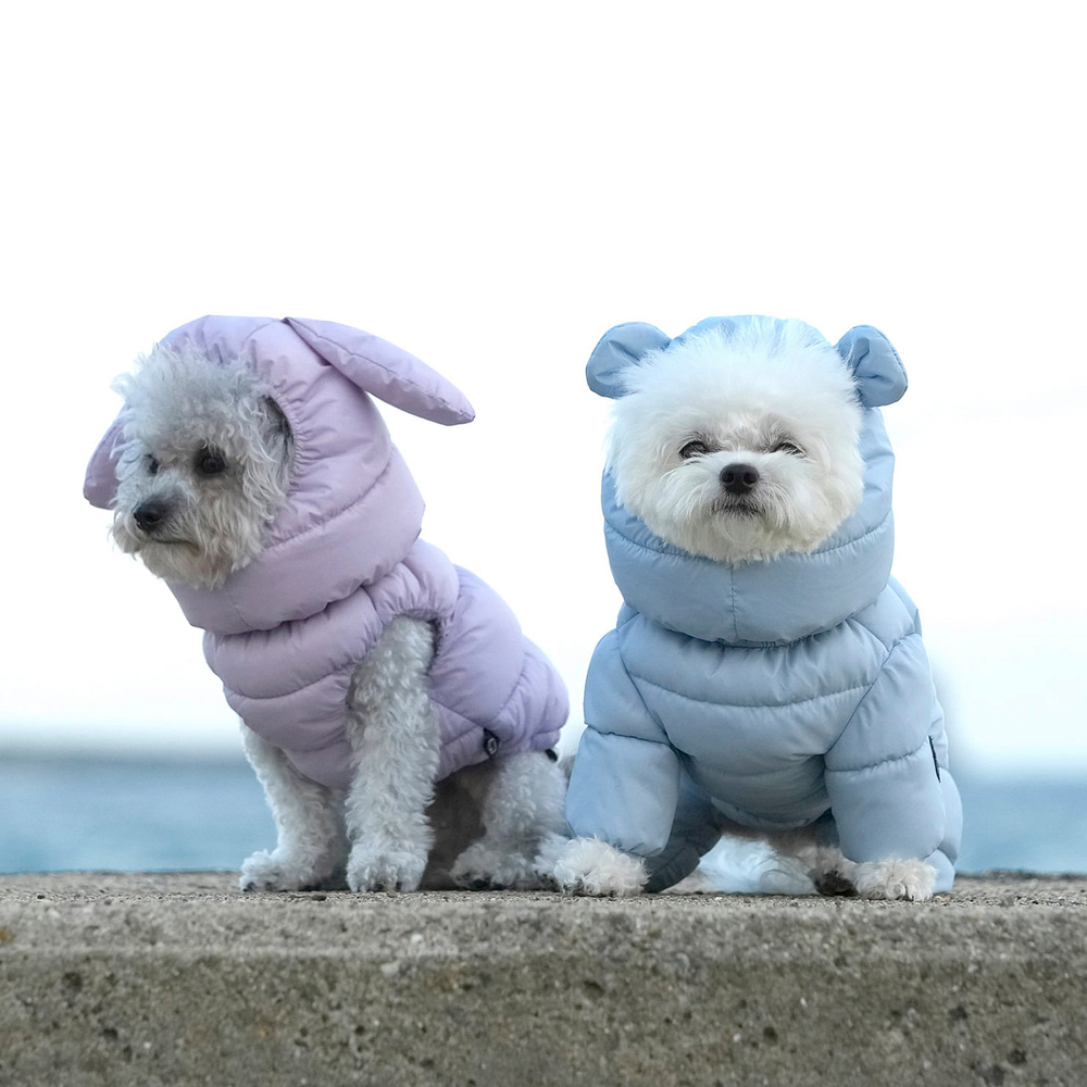 672 Комбинезон "Комфорт до -20-25°C" с молнией на спине, девочка/ COMFORT - FOR GIRLS, для девочки PREMIUM (SSOOOK)