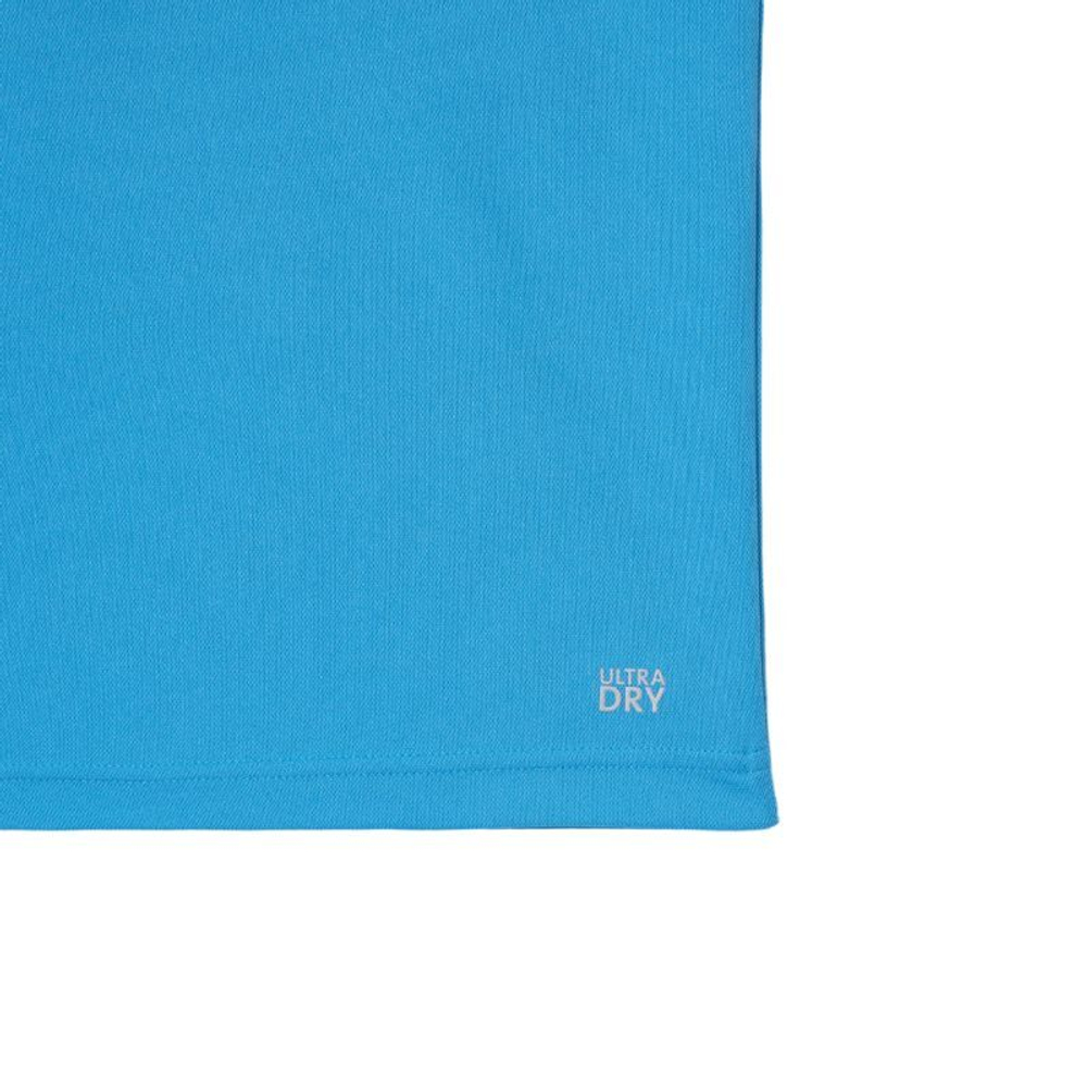 Мужское теннисное поло Lacoste Tennis x Novak Djokovic Fan Version - небесный