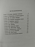 Каменные страницы истории. Рассказы об удивительных городах и знаменитых постройках