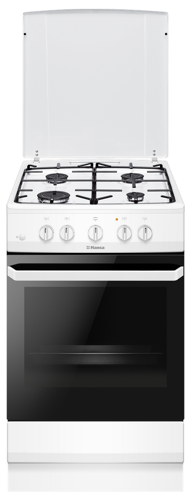 Кухонная плита Hansa FCGW510009
