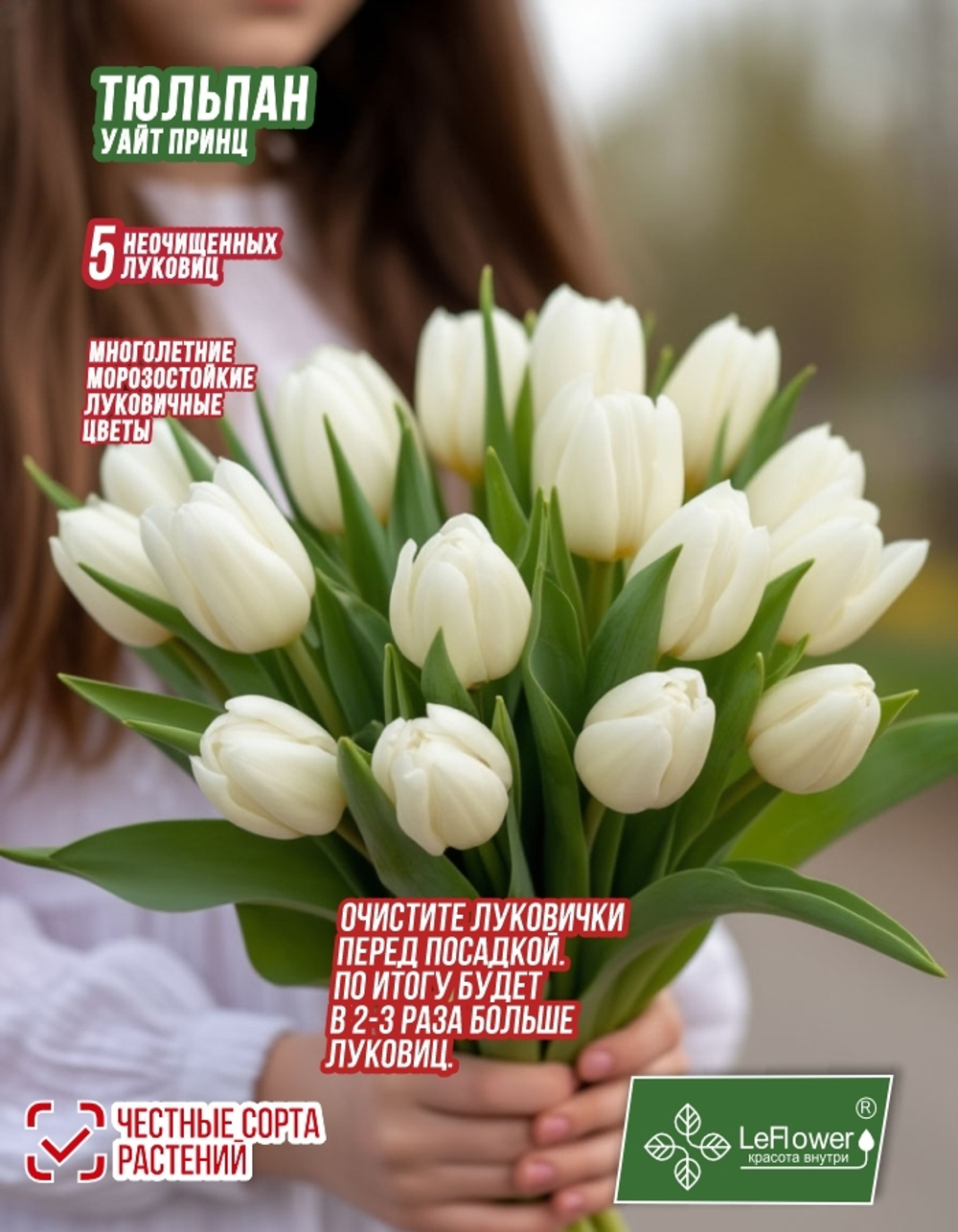 Тюльпан Луковица, Уайт Принц 5+ шт