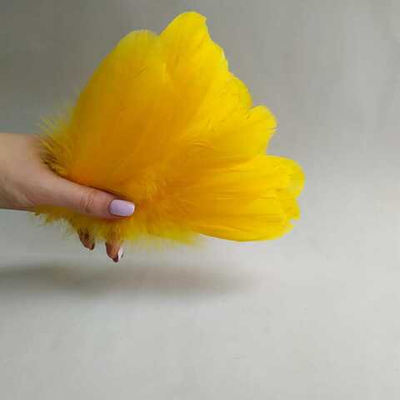 Гусиные перья апельсиновые 2 сорт 20 шт.