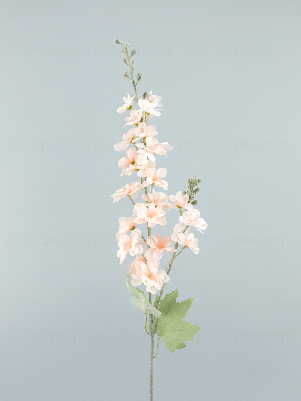 Дельфиниум Эстер