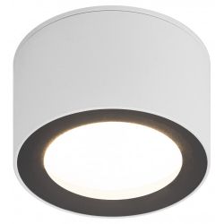 Светильник настенно-потолочный спот ЭРА OL28 WH/BK GX53, черно-белый, IP44