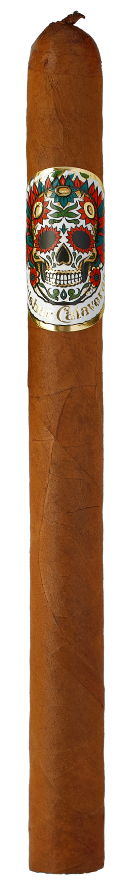 Orishas Calaveras Lancero Tube