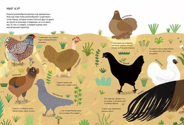 Курицеведение. Дачная энциклопедия