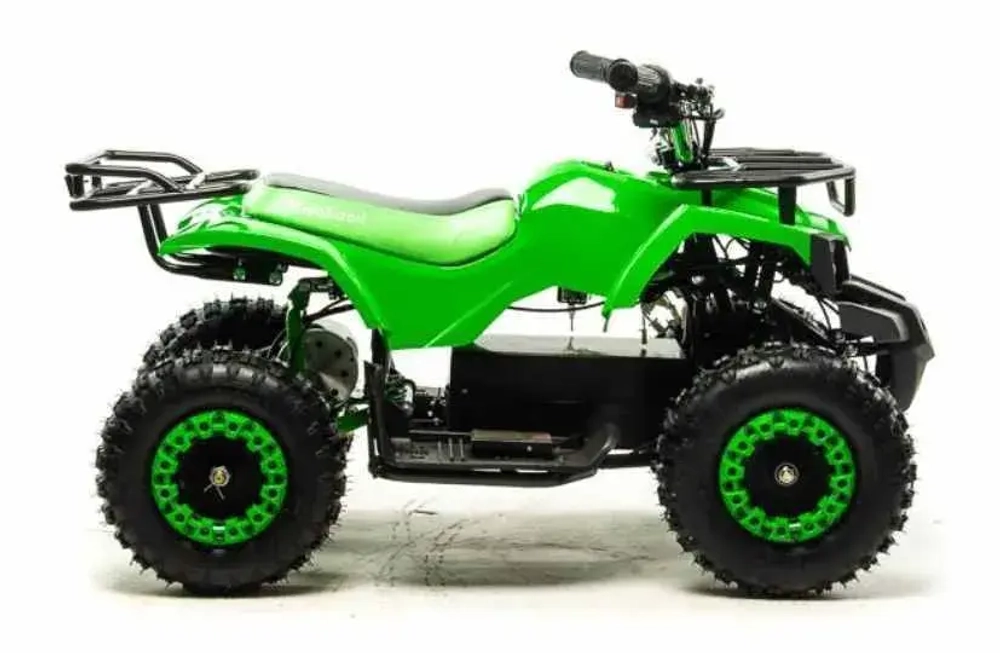 Электроквадроцикл Motoland ATV E009 1000W