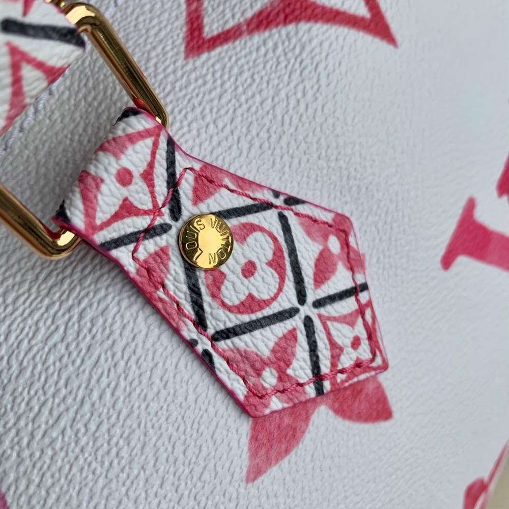 Louis Vuitton Speedy 25