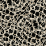 Ronald Redding Traveler