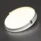 7646/DLN PALE SN 189 Светильник пластик/белый/золотой LED 48Вт 3000/4000/6000К D390 IP43 CCT OLIDI WHITE