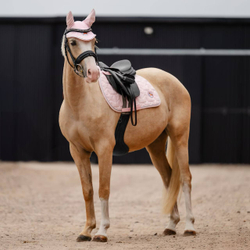 Вальтрап CRW в размере PONY