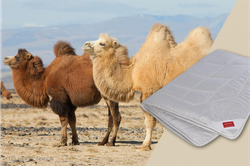 Одеяло всесезонное 200х220 Hefel Pure Camel