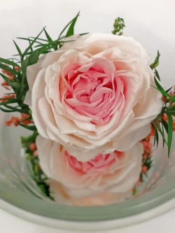 натуральные кустовые пионы в стекле, вакуум*