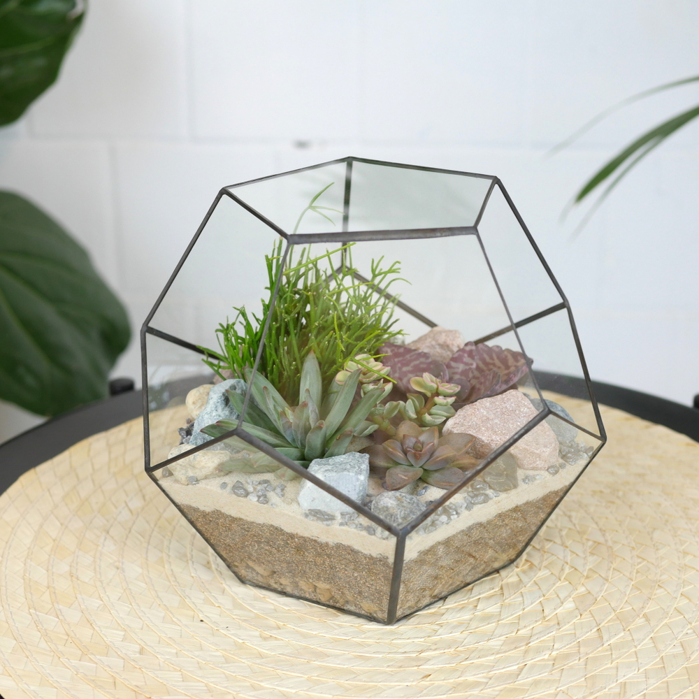 Готовый флорариум с суккулентами Сфера S