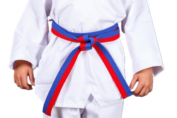 Пояс для тхэквондо ProfSport без вышивки (4 см) красно-синий