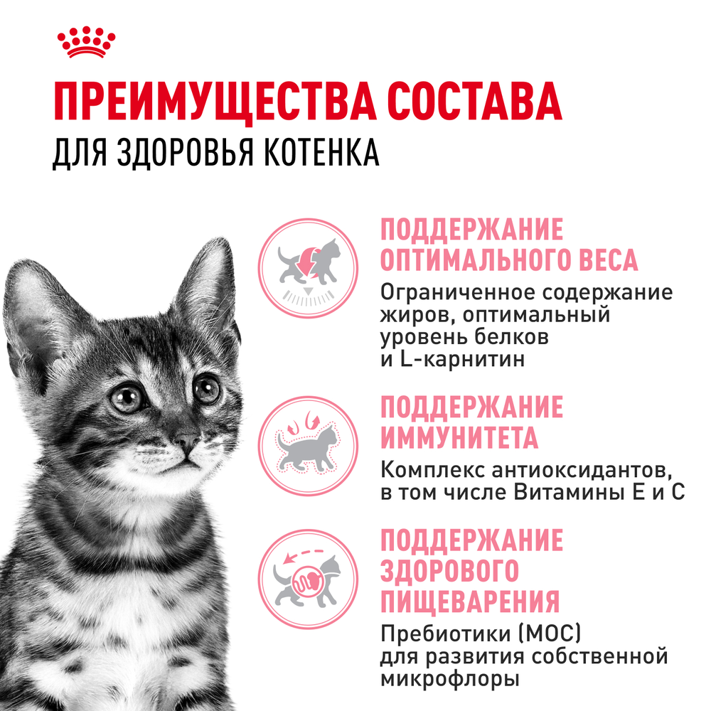Royal Canin Kitten Sterilised Киттен Стерилайзд Корм сухой для стерилизованных котят с момента операции до 12 месяцев 3,5кг