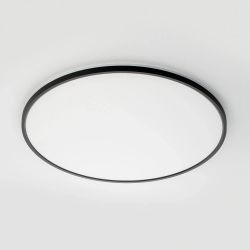 Citilux NORMA CL749601 LED RGB Светильник с пультом Чёрный