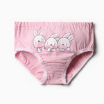 Трусы для девочек А.12-09-3. розовый, р. 110-116 9883917, 1 шт.