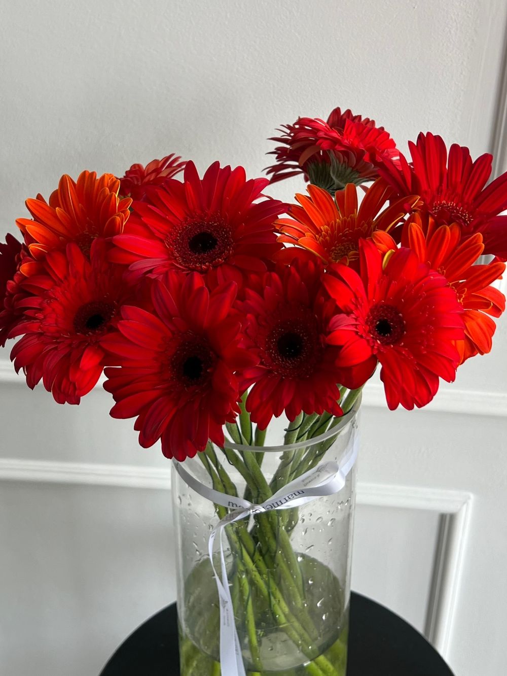 Гербера в красном оттенке от 25 шт