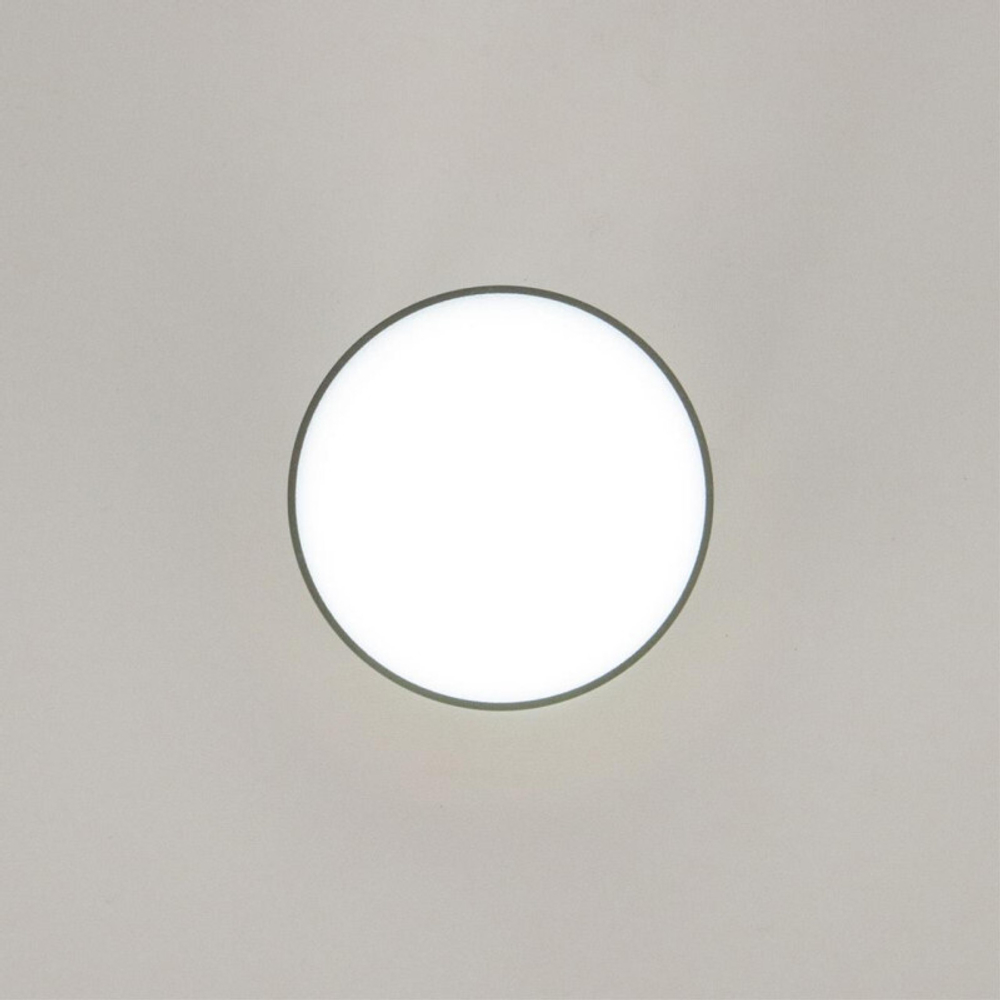 Накладной светильник Citilux CL745011N