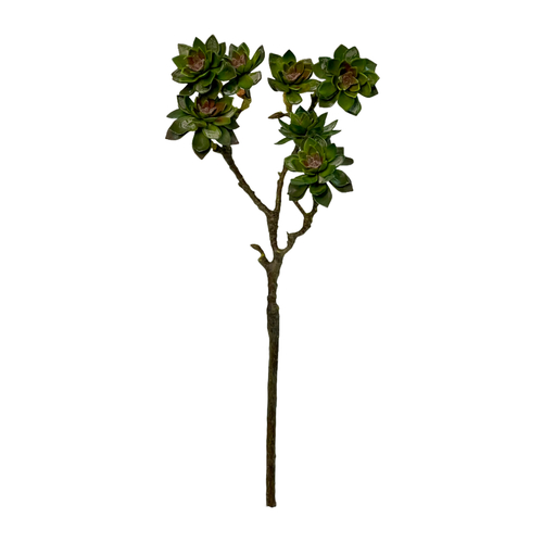 Суккулент ветка 7 шт