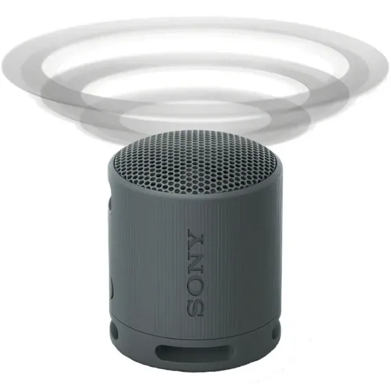 Sony SRS-XB100 Black