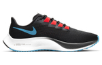 Кроссовки Nike Pegasus 37 Tpu