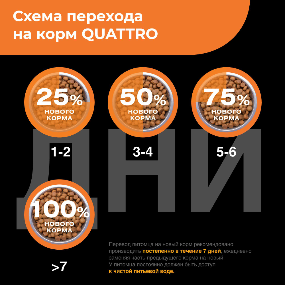 Корм сухой для взрослых собак породы Той-пудель, с индейкой, 800 гр, QUATTRO