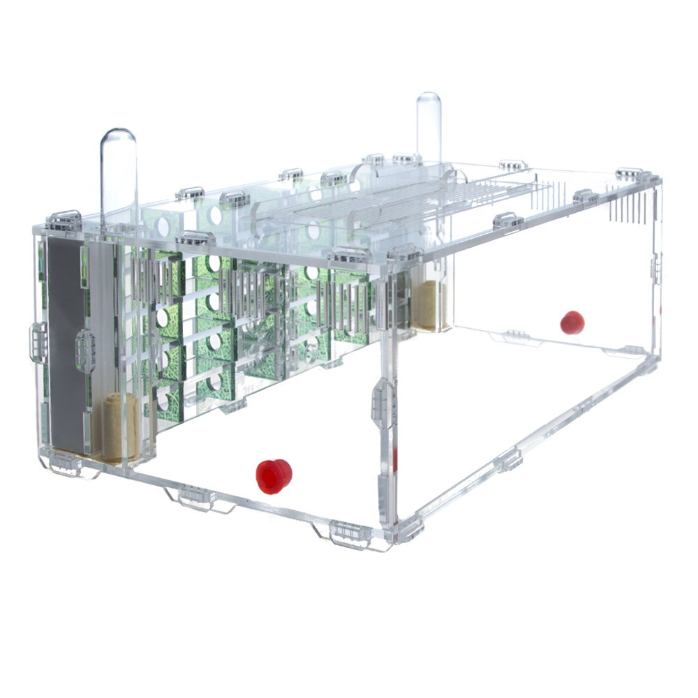 Декоративные вертикальные стенки - Зелень для Crystal XL