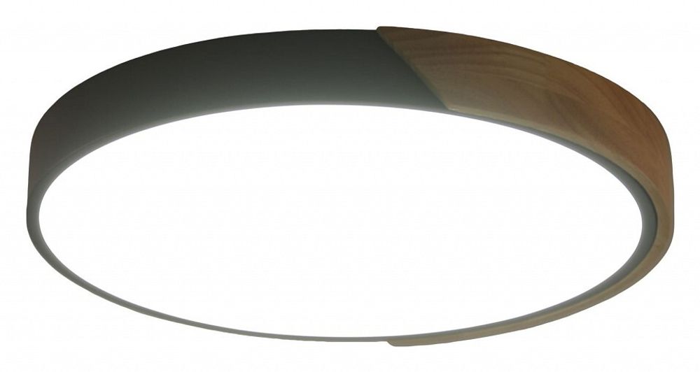 Накладной светильник Zortes Alberro ZRS.01280.36