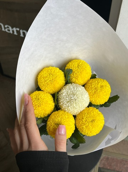 Кулек из хрзантемы пинг понг